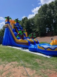 Oasis 19' Slide