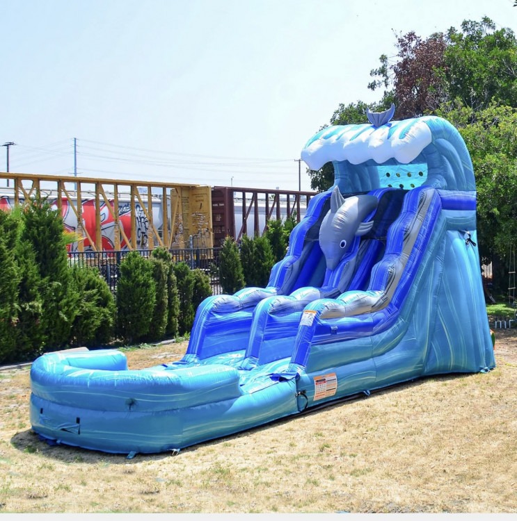 Dolphin 15' Water Slide (Wet/Dry)